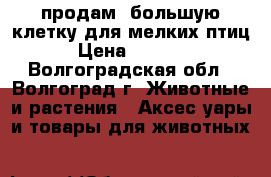 продам  большую клетку для мелких птиц › Цена ­ 7 000 - Волгоградская обл., Волгоград г. Животные и растения » Аксесcуары и товары для животных   